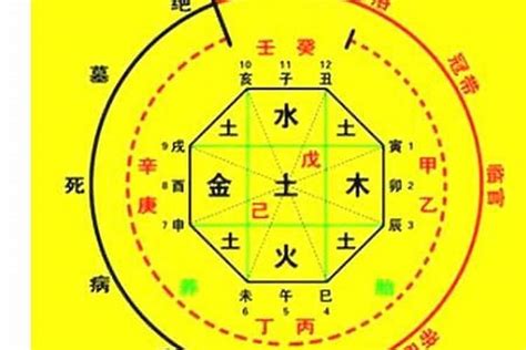 八字命宮查詢|生辰八字算命、五行喜用神查詢（免費測算）